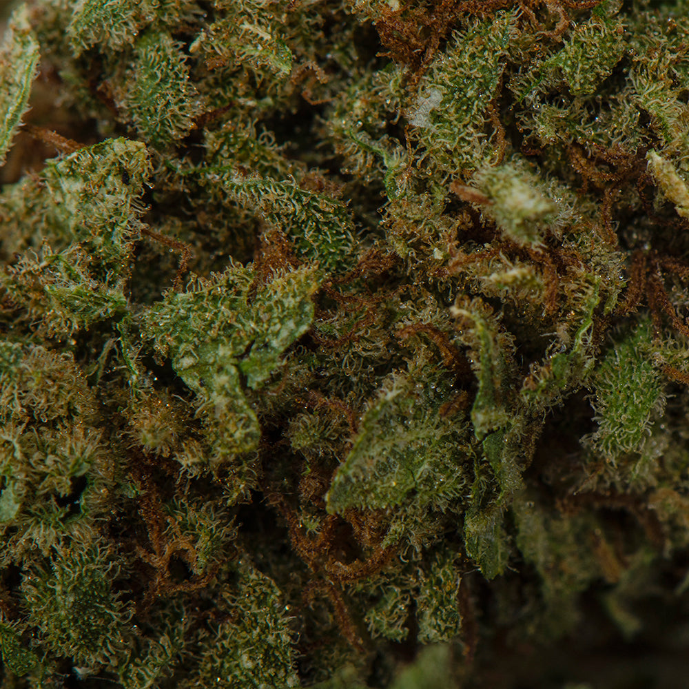 ORIGINAL STASH OS.INDICA (IND) DRIED - 28G
