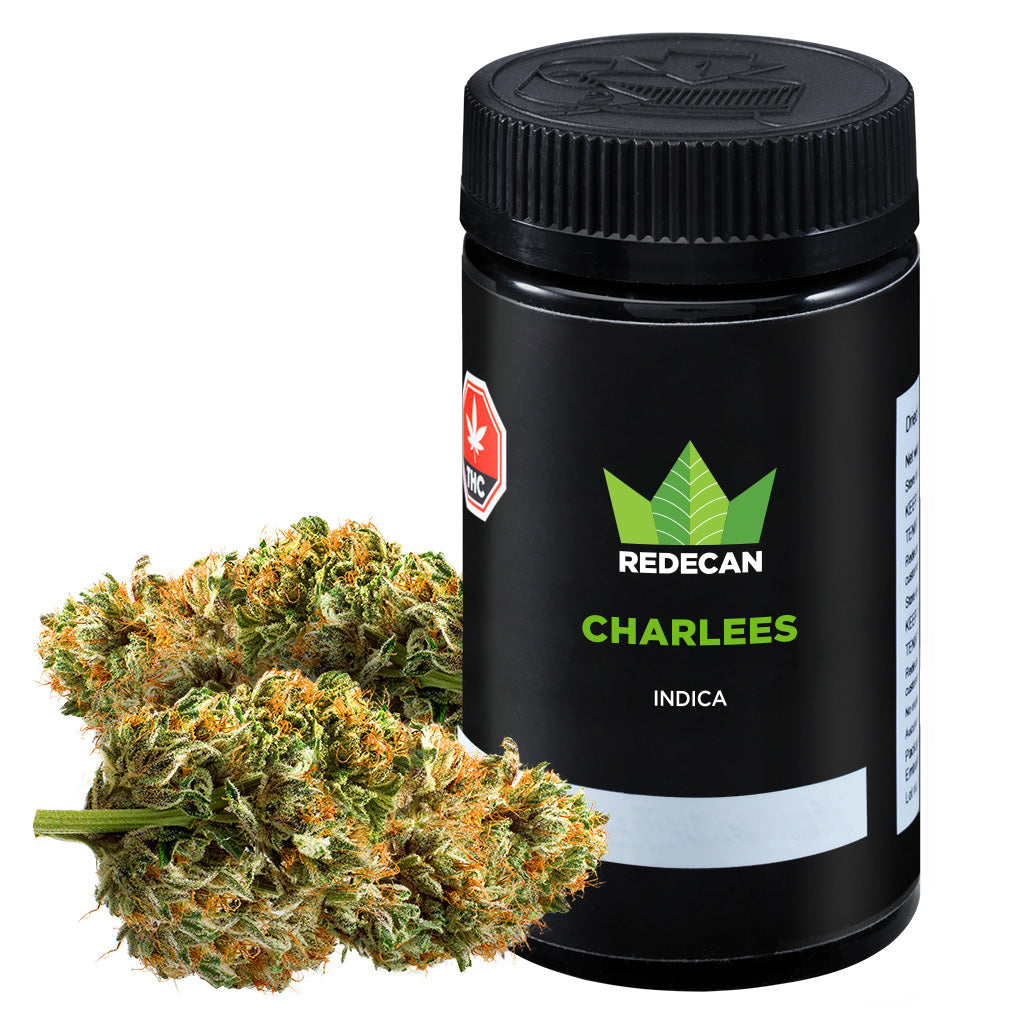 REDECAN CHARLEES (IND) DRIED - 15G