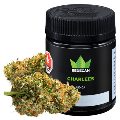 REDECAN CHARLEES (IND) DRIED - 7G