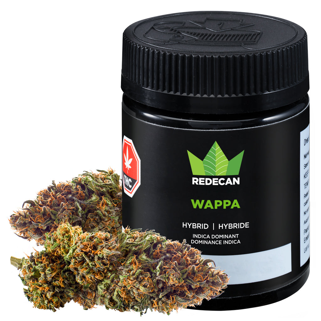 REDECAN WAPPA (IND) DRIED - 7G