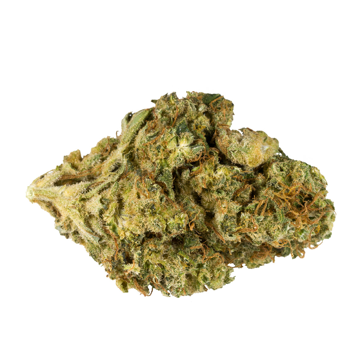 SAN RAFAEL 71 DELAHAZE (S) DRIED - 7G