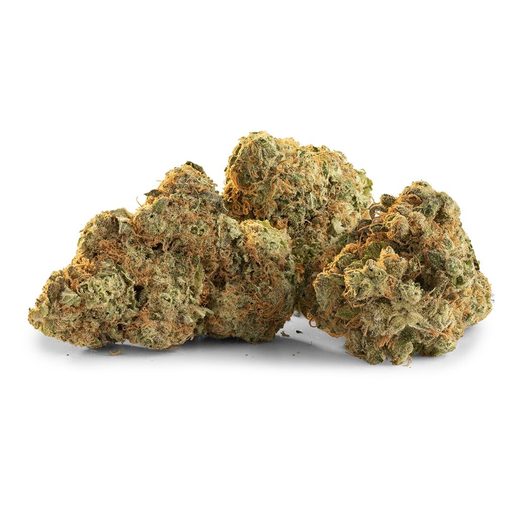 TRAILBLAZER GLOW HYBRID BUD (H) DRIED - 3.5G