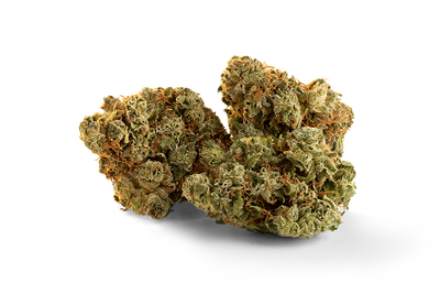 TRAILBLAZER SPARK BUDS (S) DRIED - 15G