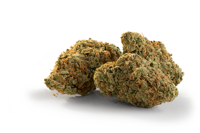 TRAILBLAZER SPARK BUDS (S) DRIED - 3.5G