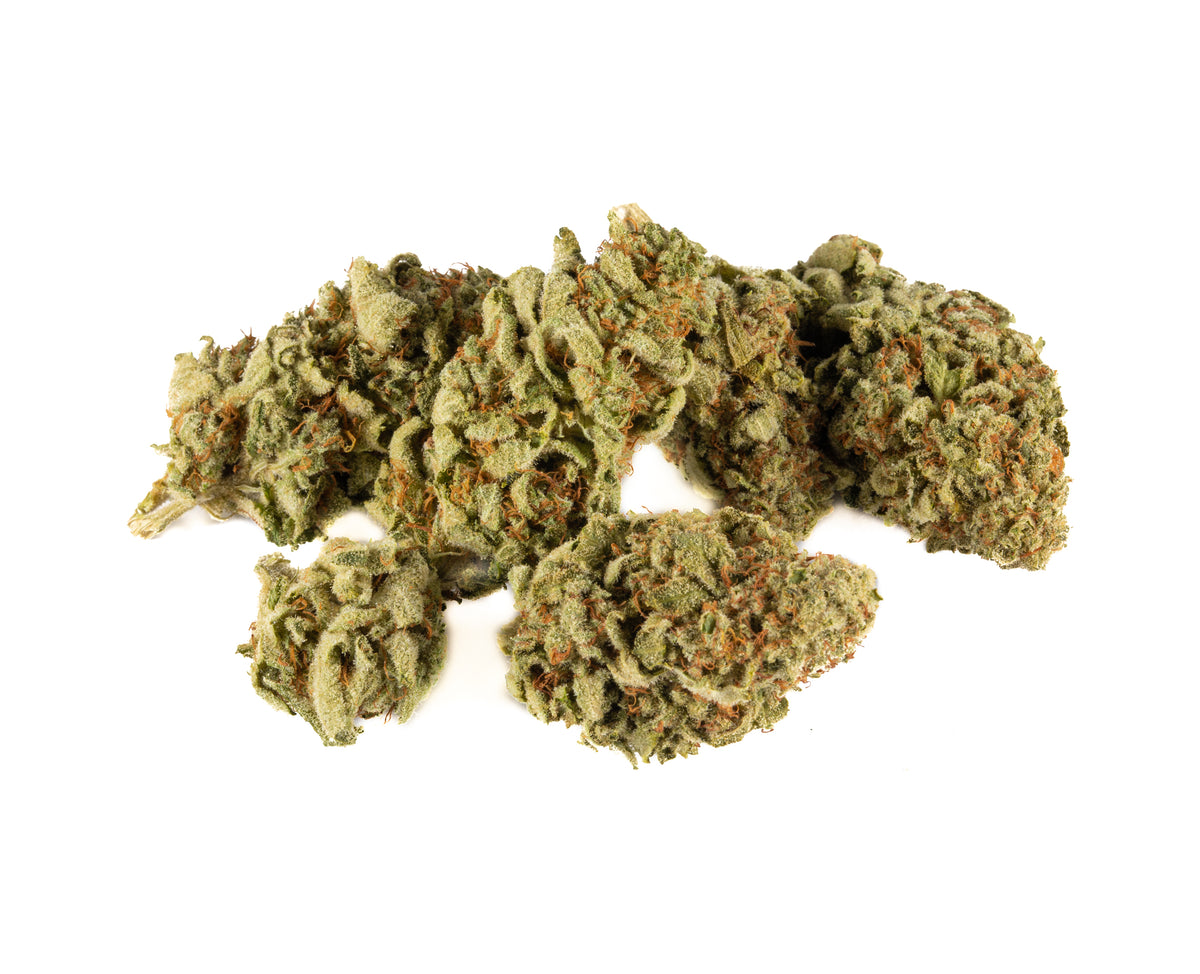 SKOSHA NOR'EASTER PLUS (S) DRIED - 7G