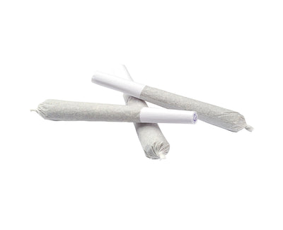 NATURAL HISTORY MELON COOKIES (H) PRE-ROLL - 0.5G X 3