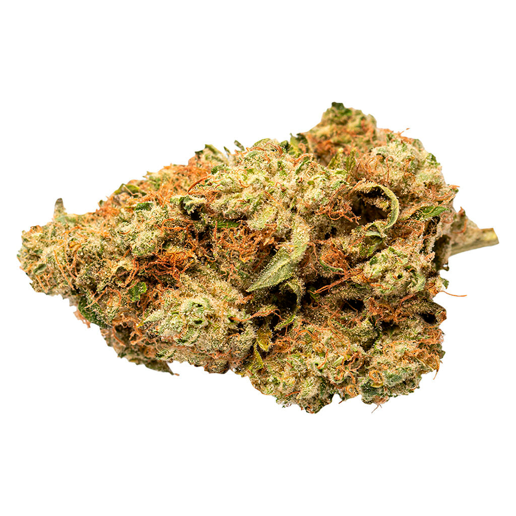 GRASSLANDS INDICA (IND) DRIED - 28G