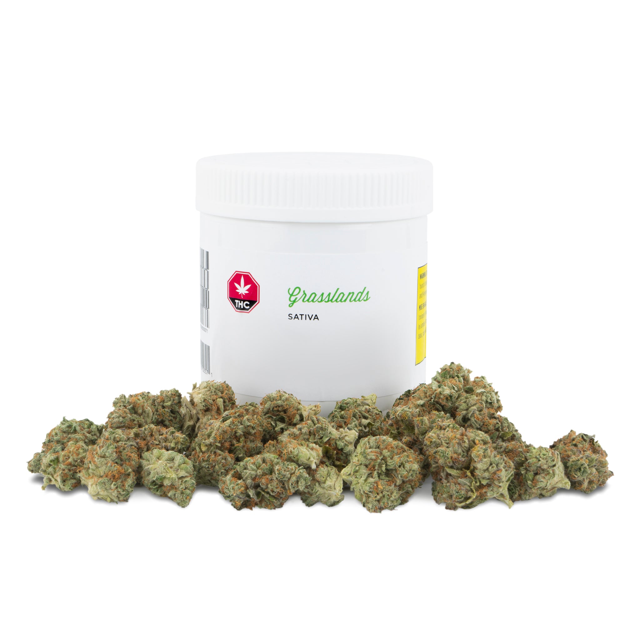 GRASSLANDS SATIVA (S) DRIED - 28G