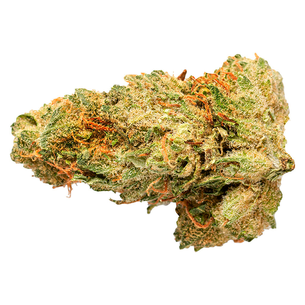 GRASSLANDS SATIVA (S) DRIED - 28G