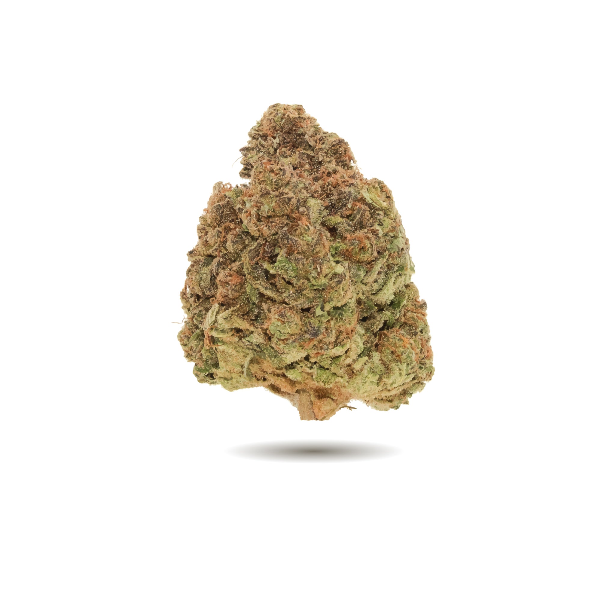 WINK MMMOSA (H) DRIED - 3.5G
