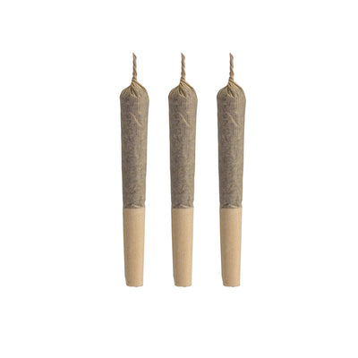 SAN RAFAEL 71 DELAHAZE (S) PRE-ROLL - 0.5G X 3
