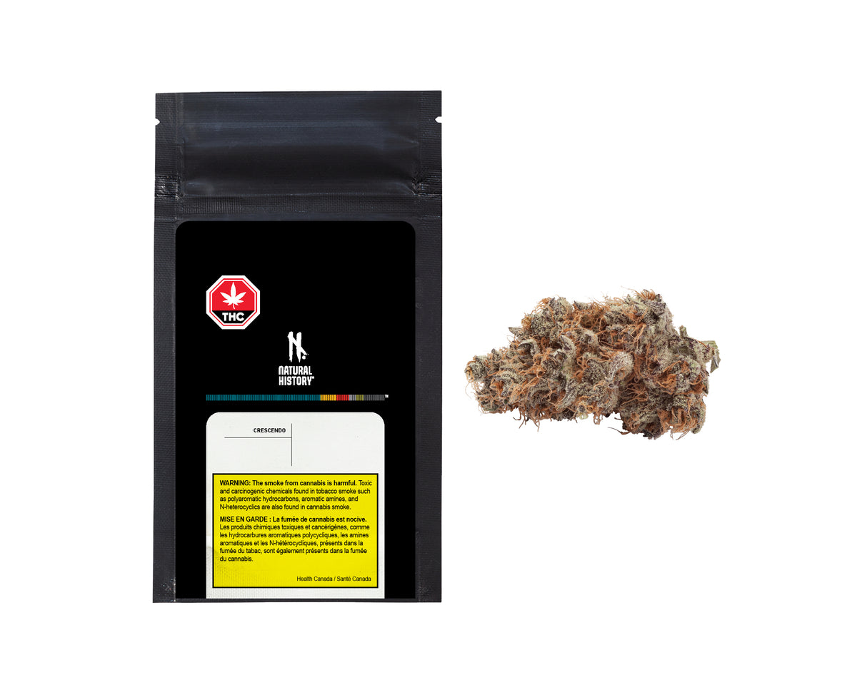NATURAL HISTORY CRESCENDO (H) DRIED - 3.5G