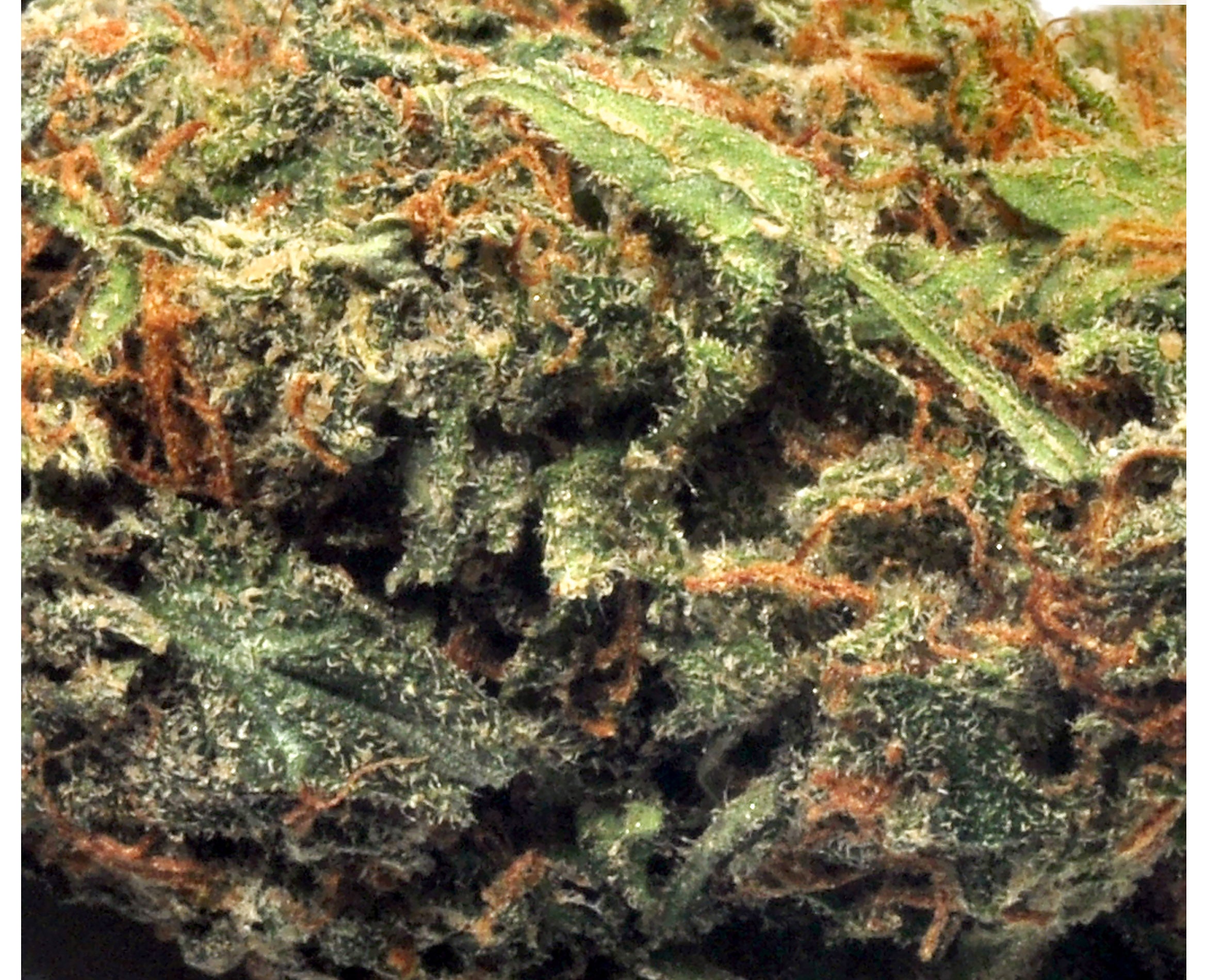 STRAIN REC 8 BALL KUSH (IND) DRIED - 3.5G