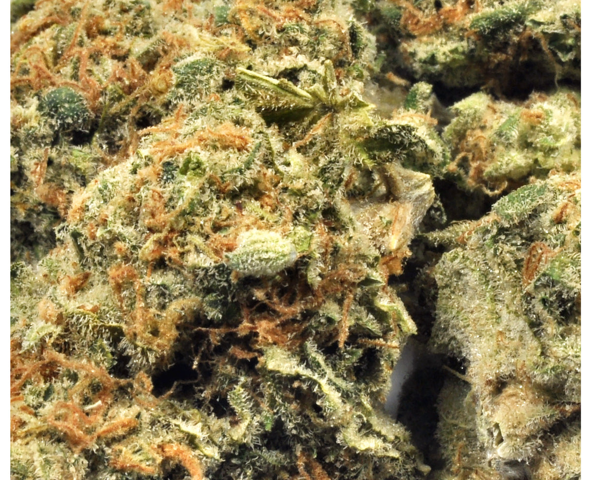 STRAIN REC RASPBERRY COUGH (S) DRIED - 3.5G