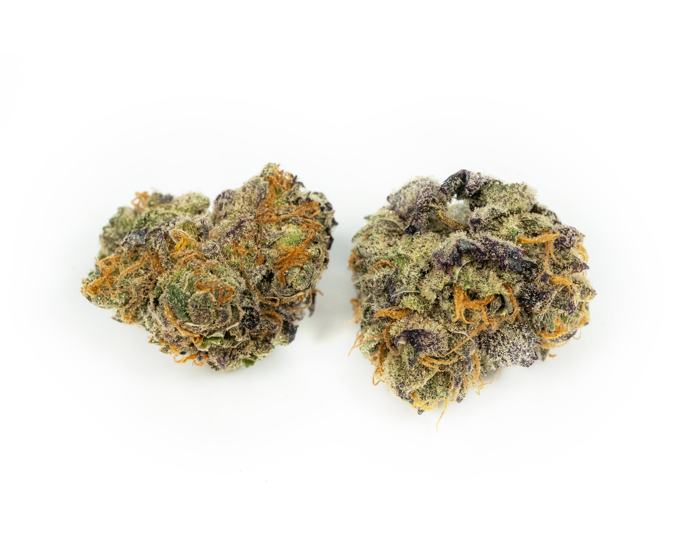 POOLBOY KING T (S) DRIED - 3.5G