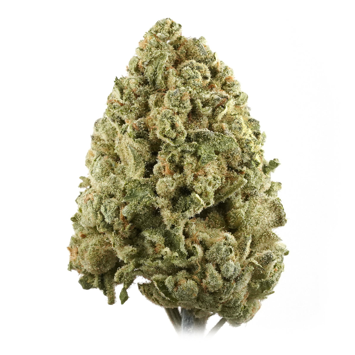 TANTALUS LABS LA KUSH CAKE (H) DRIED - 3.5G