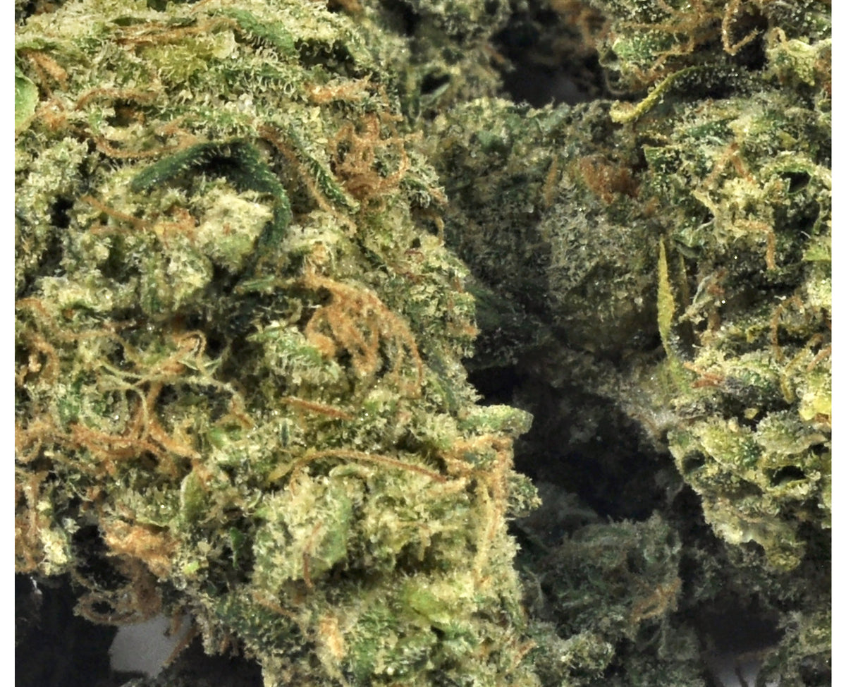 STRAIN REC 24K GOLD (IND) DRIED - 3.5G