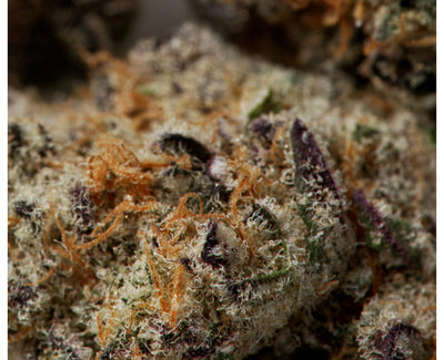JOI BOTANICALS CAKE CRASHER NO.2 (IND) DRIED - 3.5G