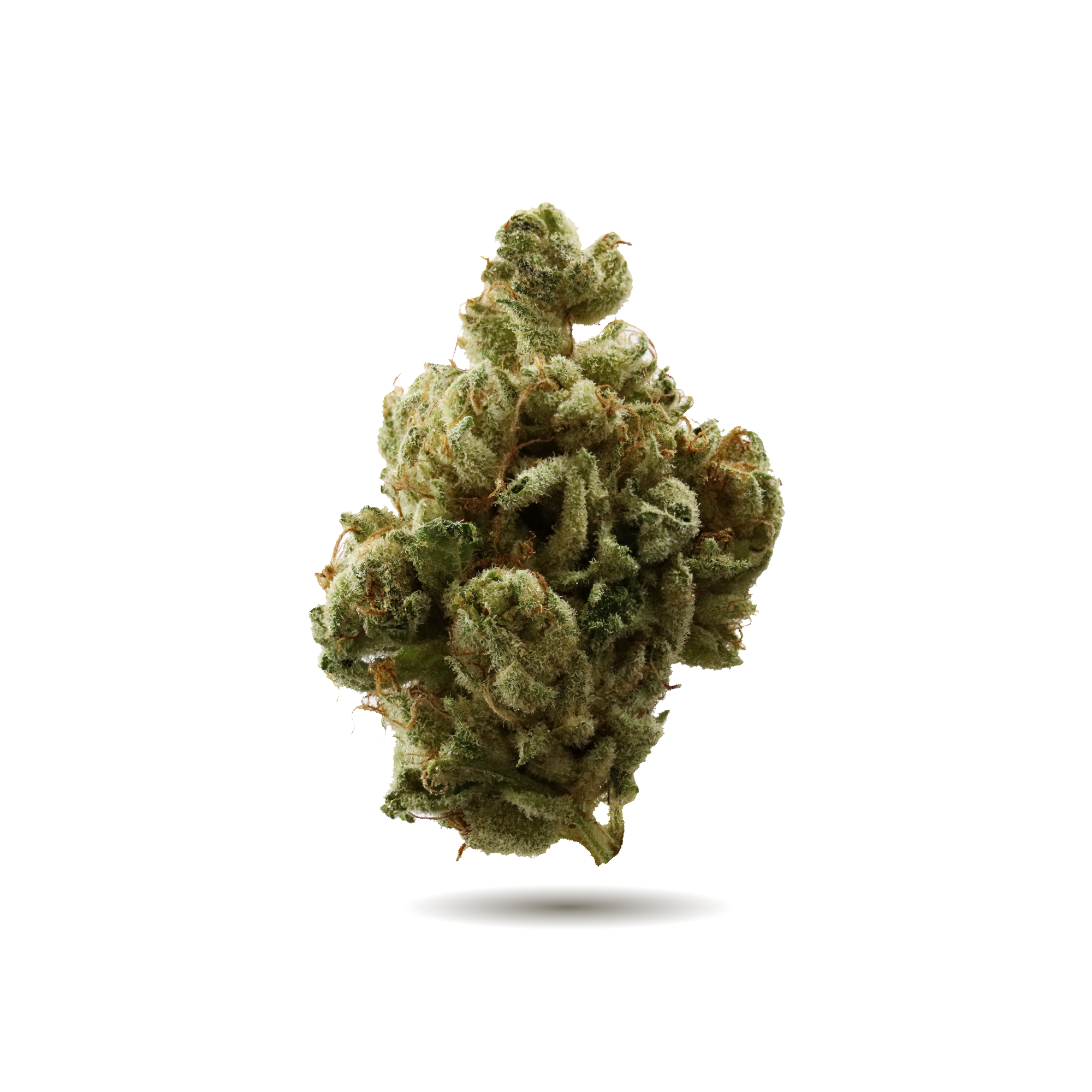 WINK WEDDING CAKE (IND) DRIED - 3.5G
