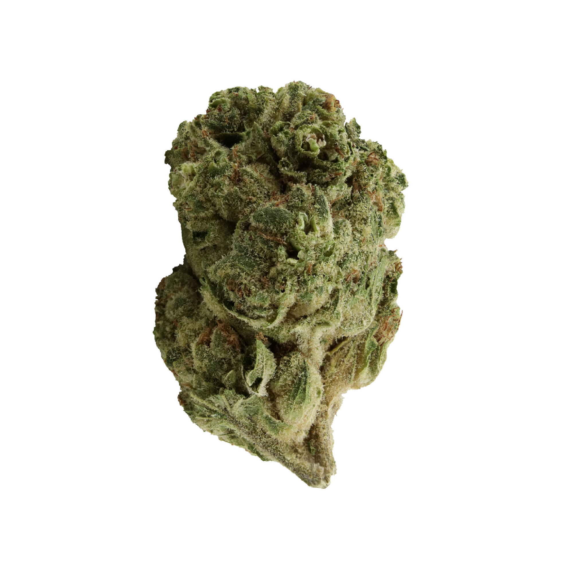 THUMBS UP GARLIC Z (IND) DRIED - 3.5G