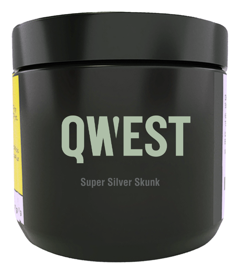 QWEST SUPER SILVER SKUNK (H) DRIED - 3.5G