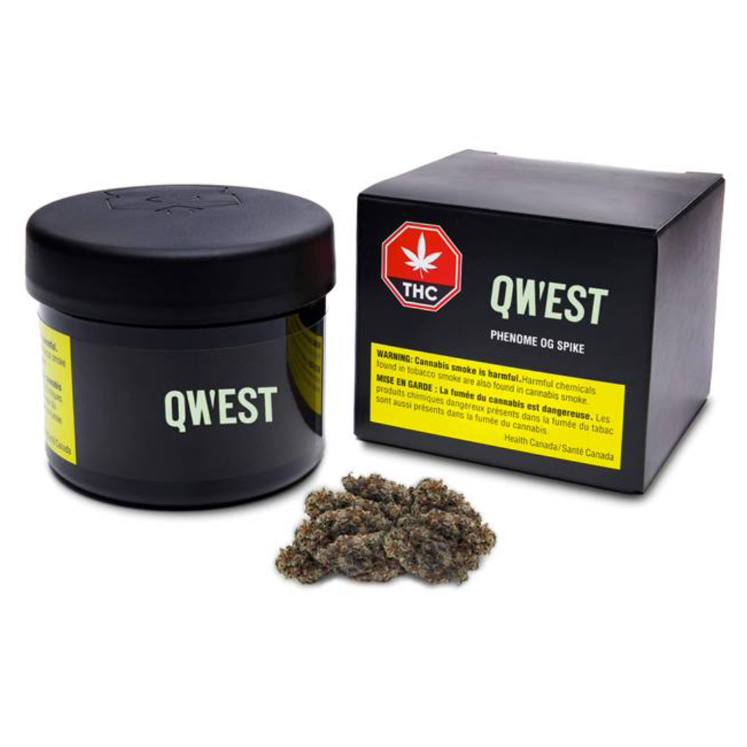 QWEST PHENOME OG SPIKE (H) DRIED - 3.5G