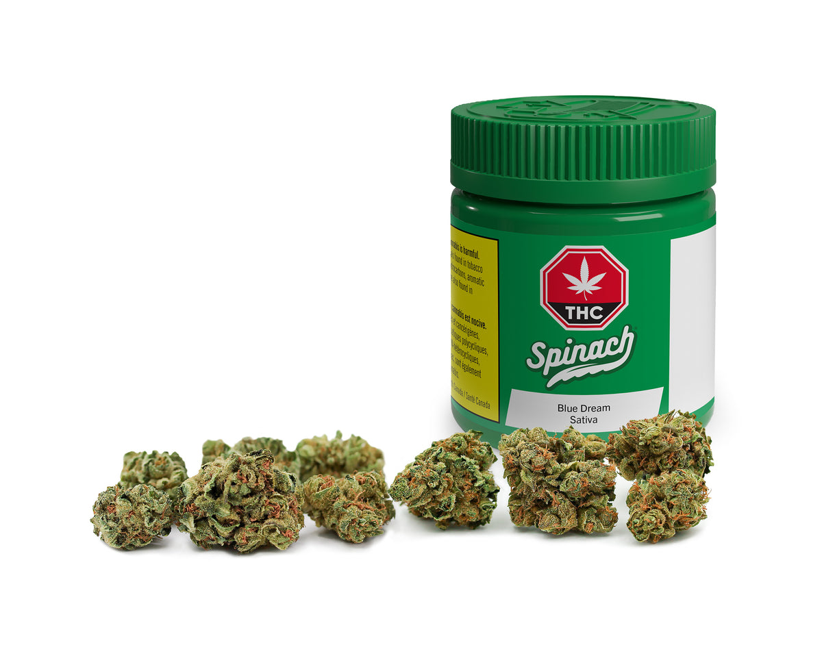 SPINACH BLUE DREAM (S) DRIED - 7G