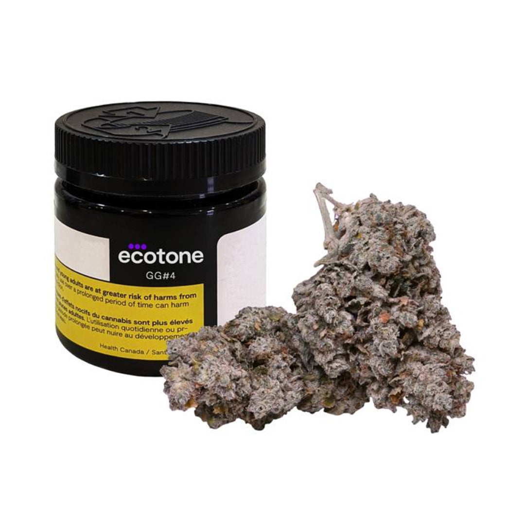 ECOTONE GG 4 (IND) DRIED - 3.5G