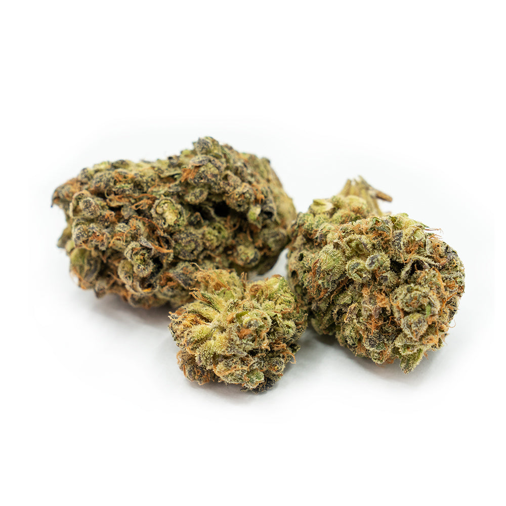 ROYAL CITY DREAMZICLE (H) DRIED - 3.5G