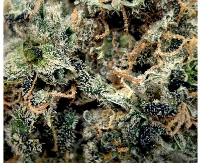 TOP LEAF PURPLE CLEMENTINE (S) DRIED - 3.5G