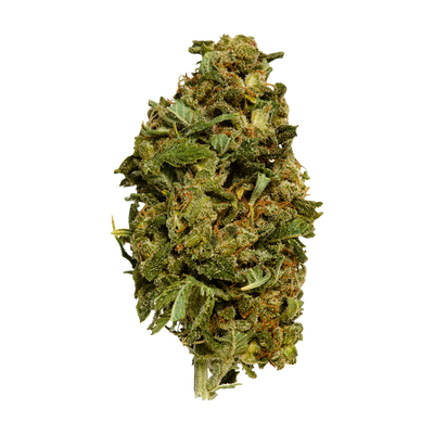 ORIGINAL STASH OS.RESERVE SATIVA (S) DRIED - 7G