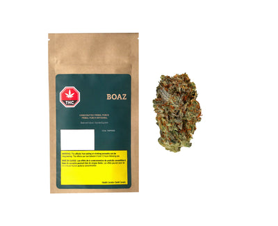 BOAZ PRIMAL PUNCH (H) DRIED - 3.5G