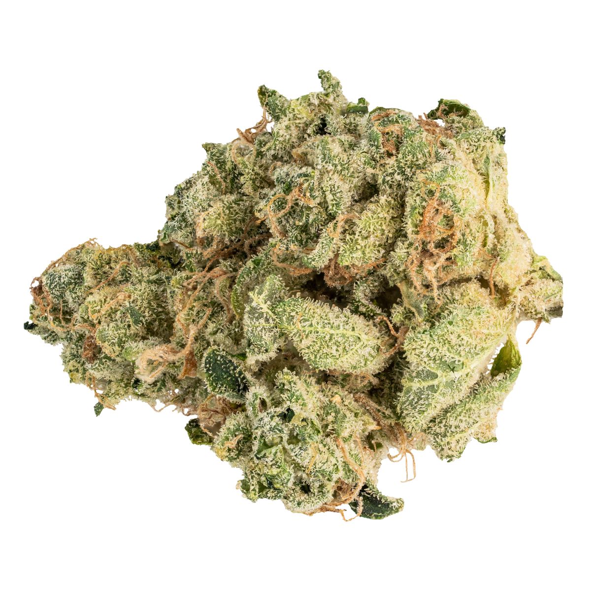 MUSKOKA GROWN CHEM OG (H) DRIED - 3.5G