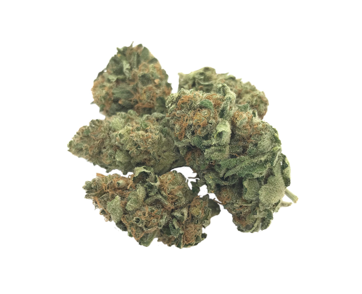 ABBA MEDIX CRITICAL ORANGE PUNCH (H) DRIED - 15G