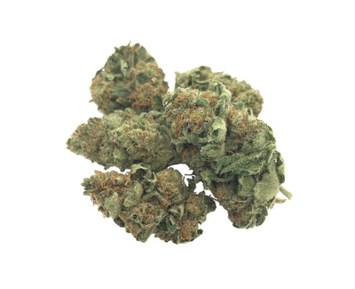 ABBA MEDIX CRITICAL ORANGE PUNCH (H) DRIED - 15G