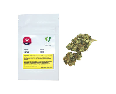 ABBA MEDIX PURPLE BUD (IND) DRIED - 15G