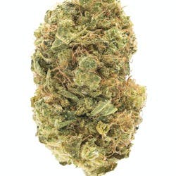 ABBA MEDIX PURPLE BUD (IND) DRIED - 15G