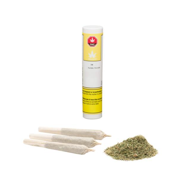 NAMASTE 24K GOLD (IND) PRE-ROLL - 0.5G X 3