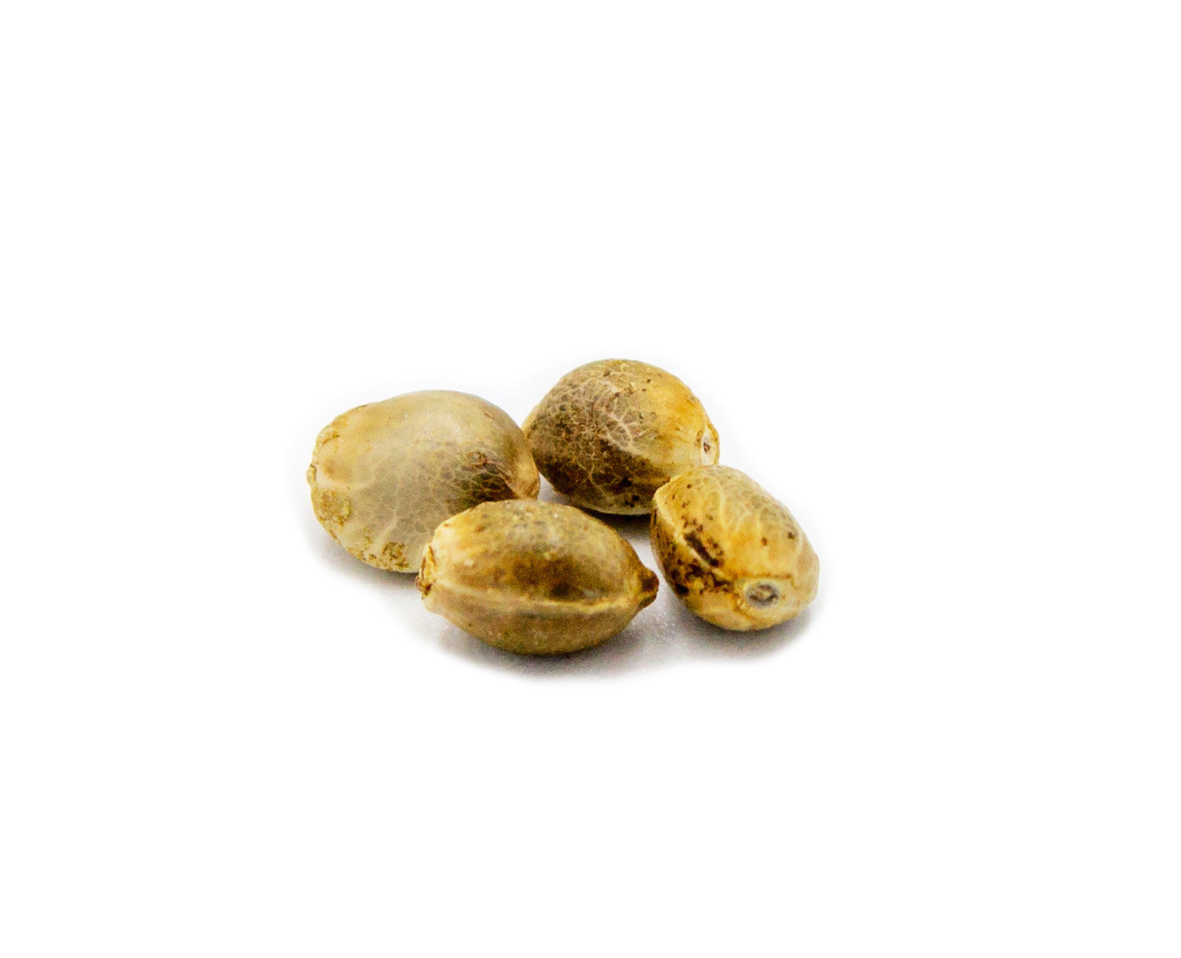 PARKLAND NEXT GEN AFGHANI KUSH AUTO (H) SEEDS - 4PK