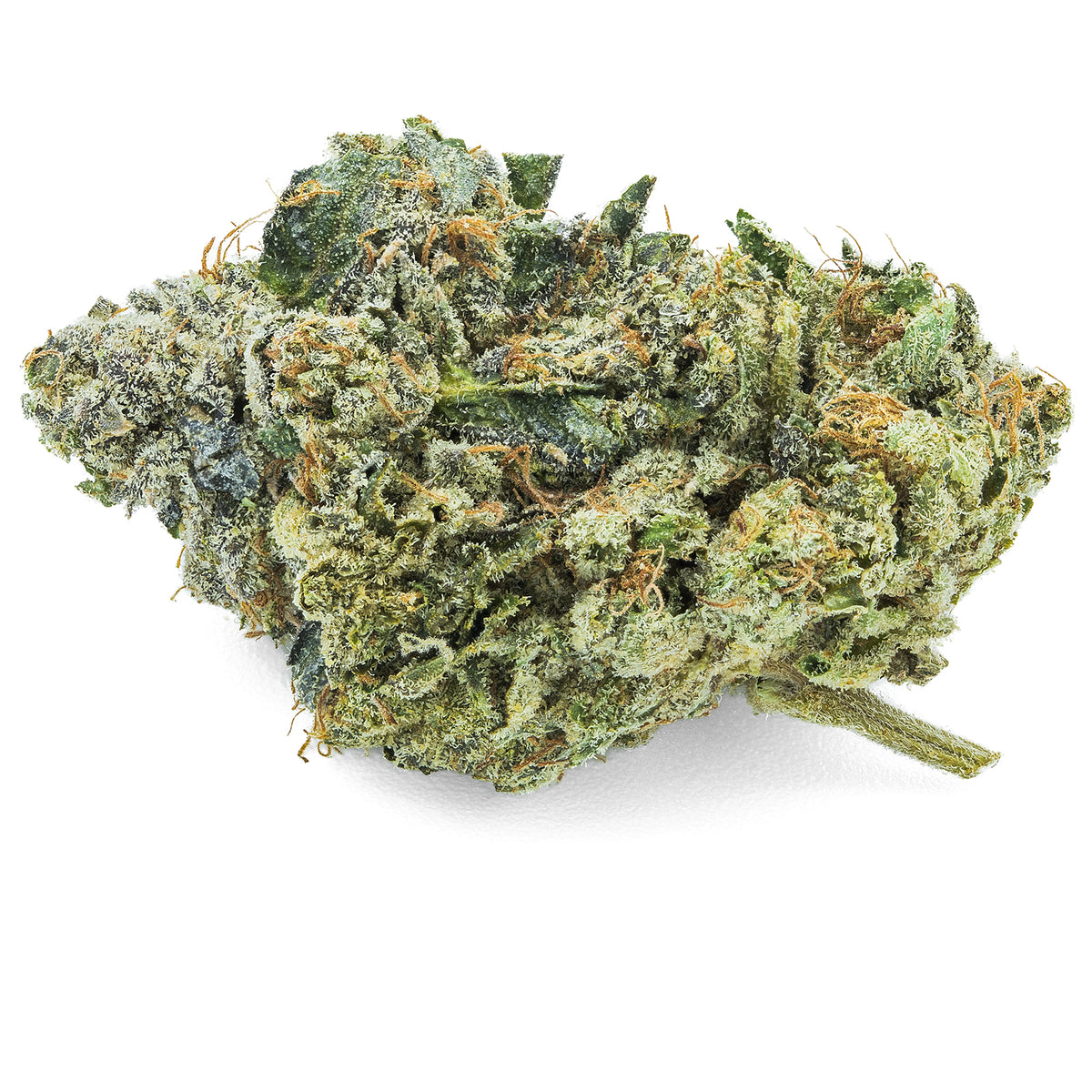 ARTISAN BATCH DUNN CANNABIS SCREWHEAD (H) DRIED - 3.5G