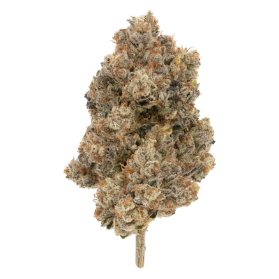 BROKEN COAST PIPE DREAM (S) DRIED - 3.5G