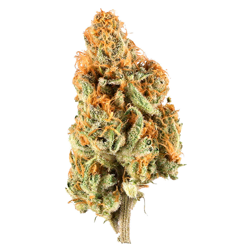 UP LEMON HAZE UP20 (S) DRIED - 3.5G