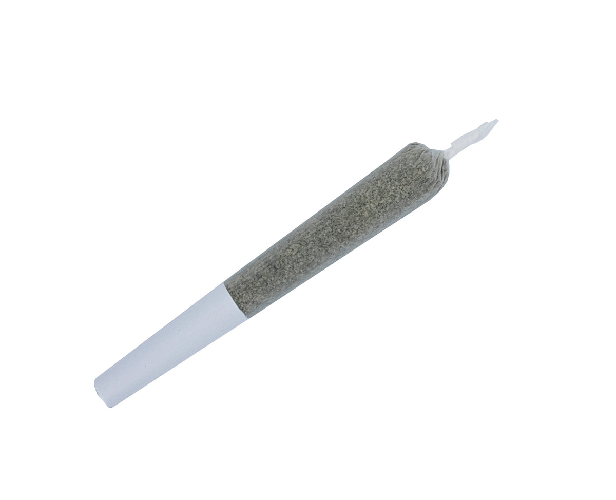 ABBA MEDIX WHITE SHARK (S) PRE-ROLL - 0.5G X 1
