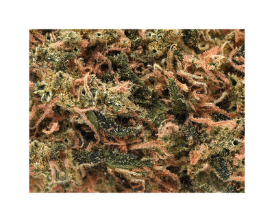VIRIDIS VORTEX (IND) DRIED - 3.5G