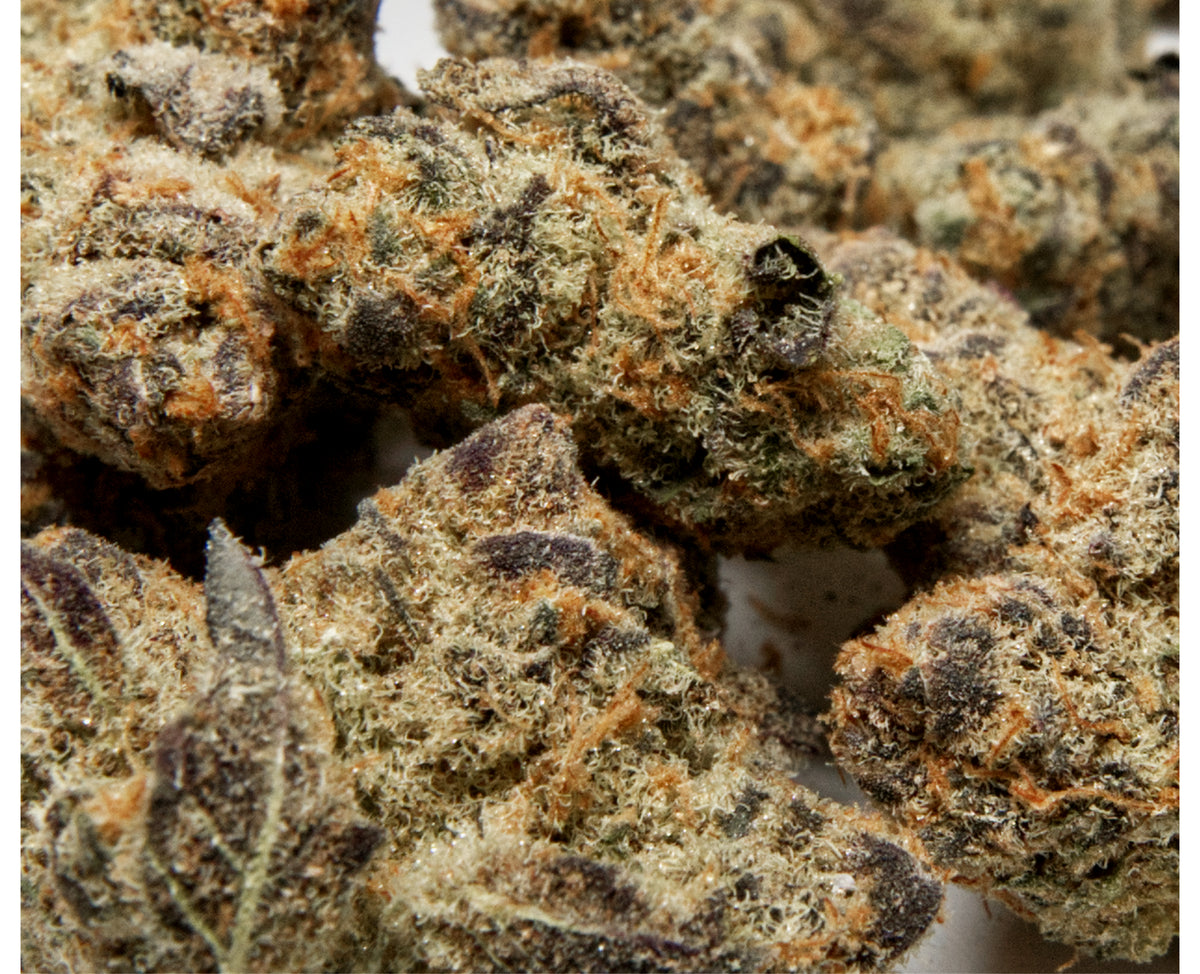 JOI BOTANICALS PLATINUM SCOUT (IND) DRIED - 7G