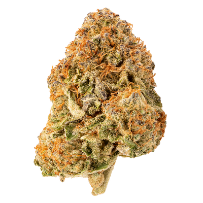 RIFF HELL CAT 33 (H) DRIED - 3.5G