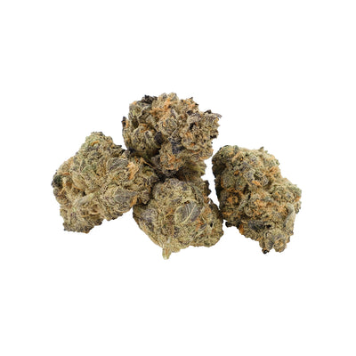 KOLAB PROJECT SLURRICANE (IND) DRIED - 3.5G