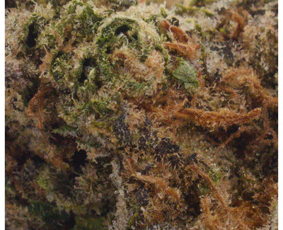 PALM GARDENS SUNRISE (S) DRIED - 3.5G