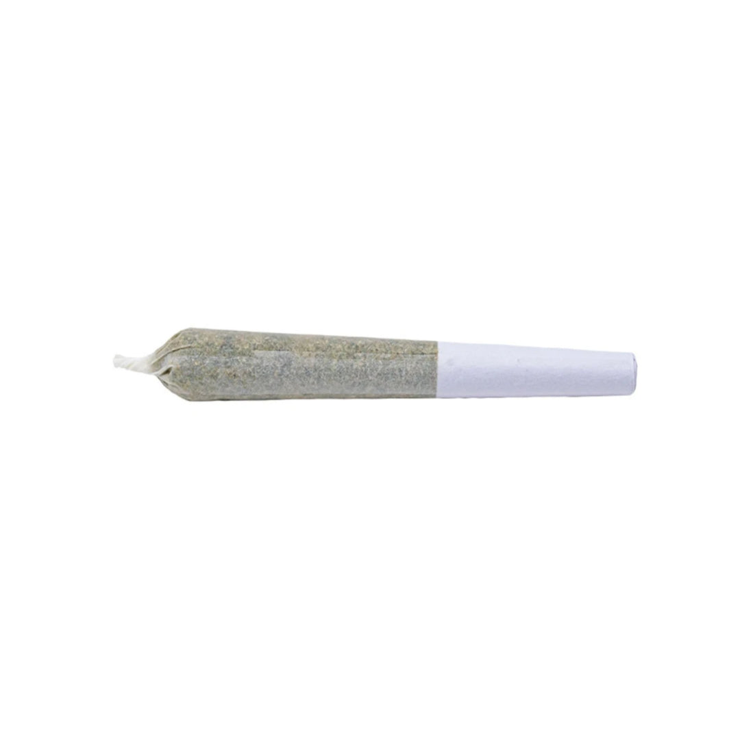 1 SPLIFF STARFIGHTER (H) PRE-ROLL - 0.5G X 7
