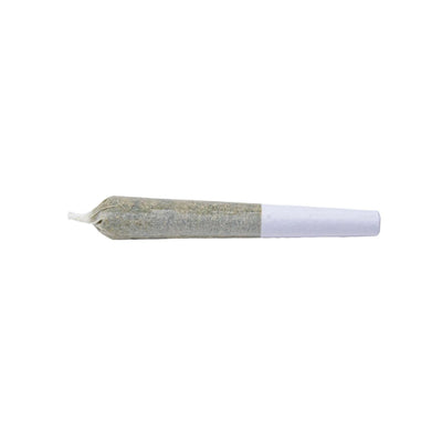 1 SPLIFF STARFIGHTER (H) PRE-ROLL - 0.5G X 7